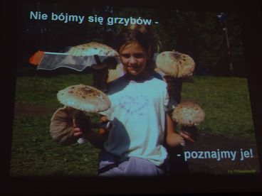 „Bezpieczne grzybobranie” - ciekawy wykład w Muzeum Ziemi Wieluńskiej